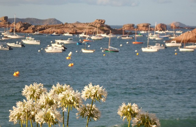 Apartment with spectacular sea views, terrace with direct beach access