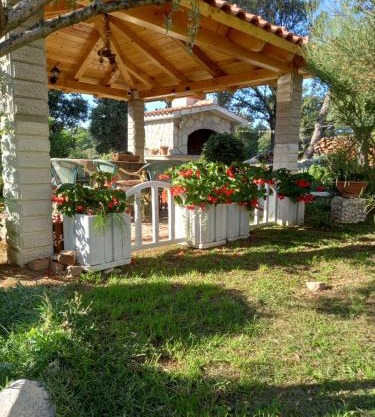 Apartments Makaus