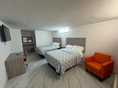 Apollo Inn - Downtown
