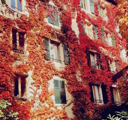 Appart'Hôtel Residence Dizerens