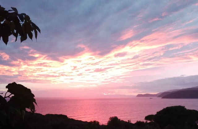 APPARTAMENTI NEREIDI - MONO NEREIDI