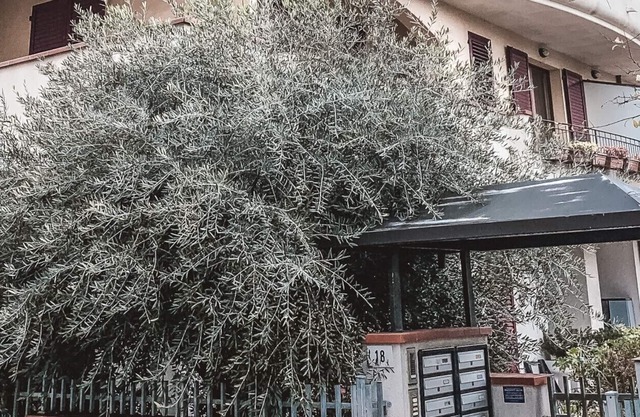 Appartamento Beltramini Home - Affitti Brevi Itali