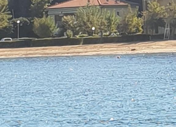 appartamento l'angolo casale grandangolo