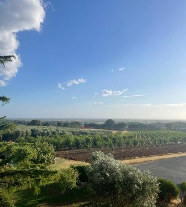 Appartamento Villa Caprareccia