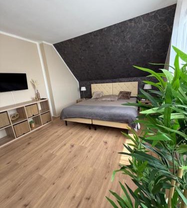 Appartement 1 - Zweizimmerwohnung mit Küche und Bad