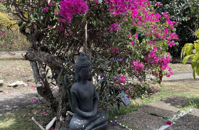 APPARTEMENT 3* ALL COMFORT, BEACH and PRIVATE SWIMMINGPOOL