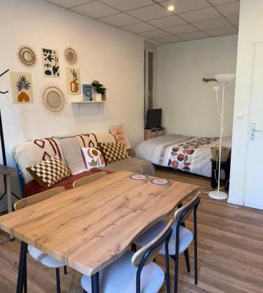 Appartement Gare Toulouse Matabiau Climatisé