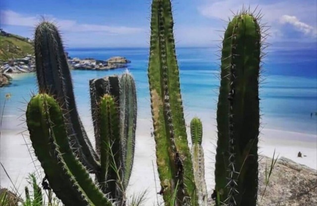arraial house 3 suites