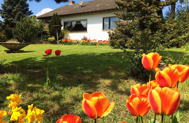 Arrive and feel good, dogs are welcome!