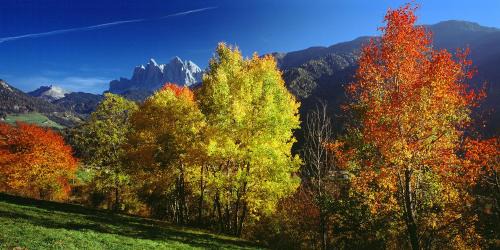 Art Apartment Schatzer