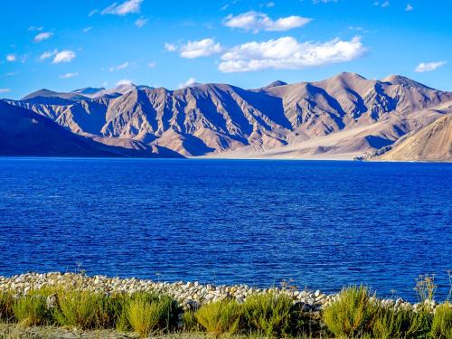Astrostays at Pangong