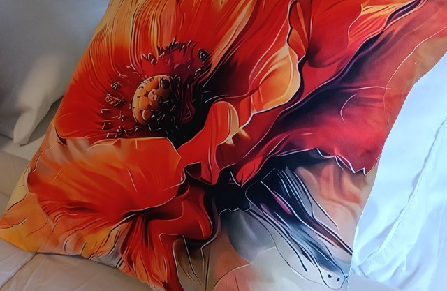 Aveiro Ria View Moliceiros