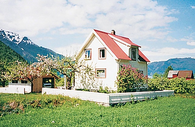 Awesome home in Fresvik