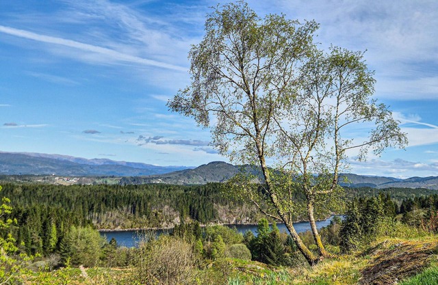 Awesome home in Sletta with WiFi