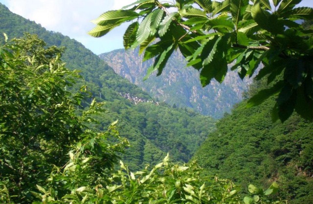 B&B CA' DEL PITUR CICOGNA