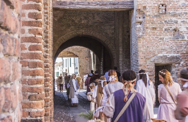 B&B GARDEN VIEW APARTMENT - Spacious and elegant on two levels