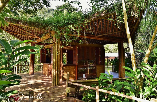 Banana Bamboo Ecolodge