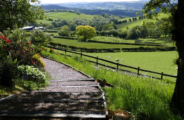Barley Cottage - 5* Cyfie Farm with log burner and private covered hot tub