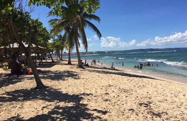 Beach at 100m▪ Sea view▪ Apartment classified 3*quiet▪ garden with trees▪1 bedroom