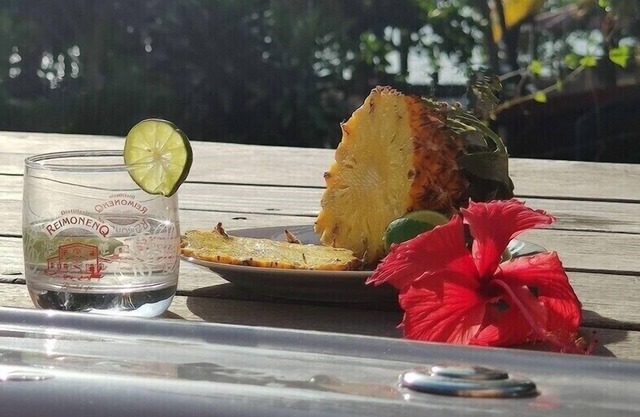 Beach house, sea view and jacuzzi