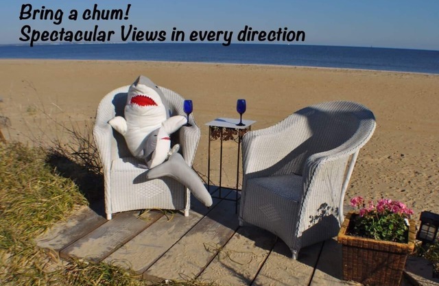 BEACH THERAPY! Stay on the Beach! Fish, Swim, Kayak, Have fun!