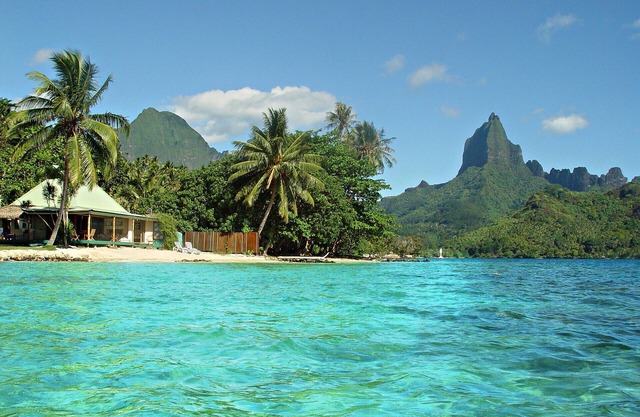 Beach Villa Cook - Robinson's Cove