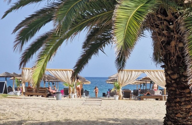 Beachfront cozy studios