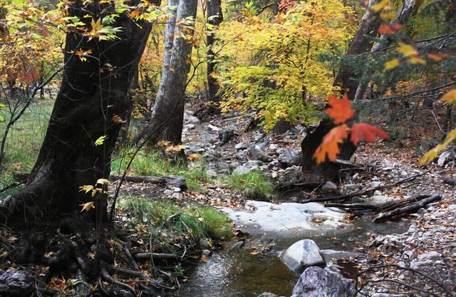 Bear Mountain Ranch at Ramsey Canyon