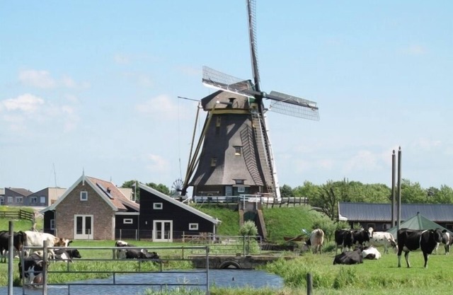 Beautiful, country style cottage near the windmill, polder and windmill view