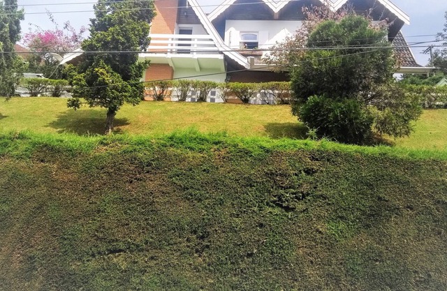 Beautiful house and stunning views - 4 bedrooms - 1 suite, hardwood floors. WIFI