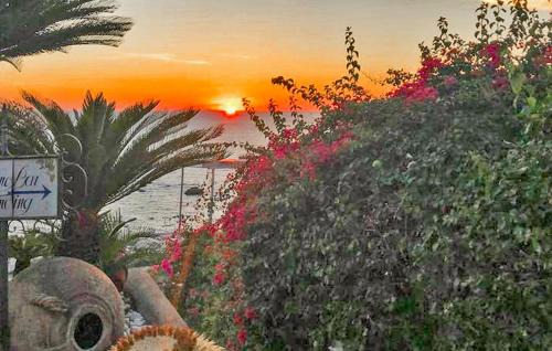 Beautiful Home In Forio Ischia