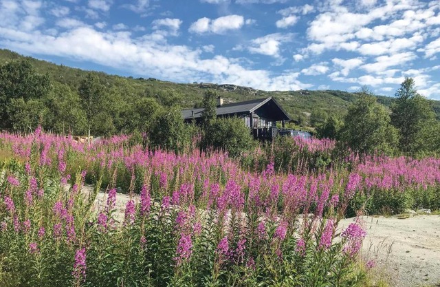 Beautiful Home In Vøringsfoss With Wifi
