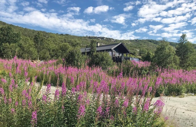 Beautiful home in Vøringsfoss with WiFi
