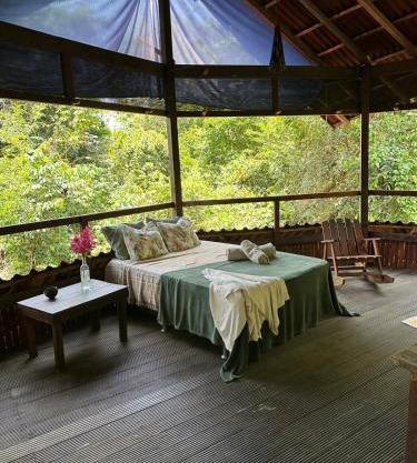 Beautiful open house in the forest