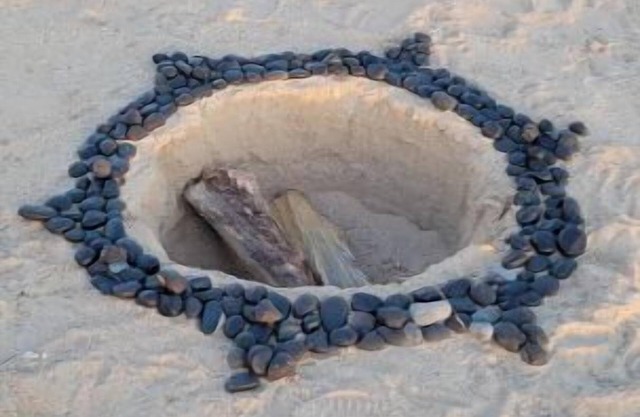 Beautiful Stars & Moon view