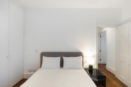 Beautiful two bed in Central London - Kensington