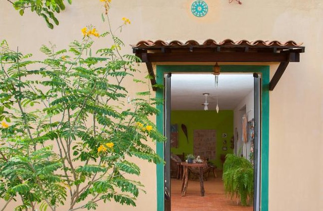 Beija- flor de Lençóis