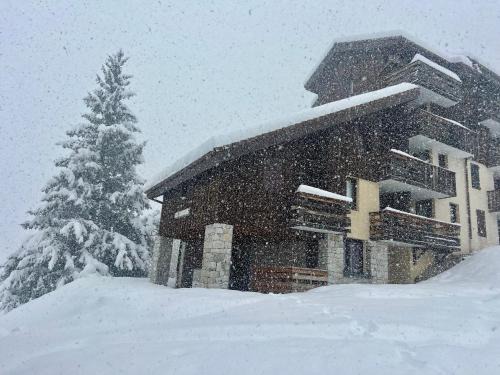 Bel appartement cosy PIED DES PISTES avec local ski LA PLAGNE