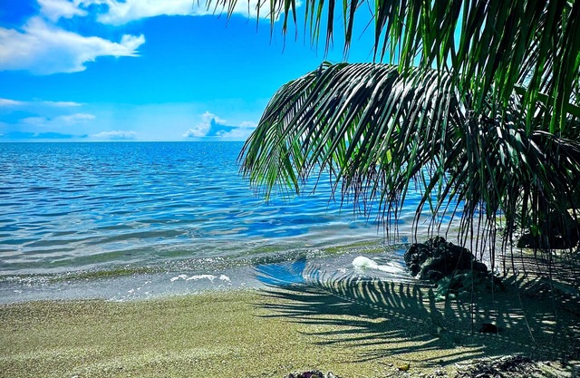 Belize Bay Estate - private estate on the Caribbean shore.