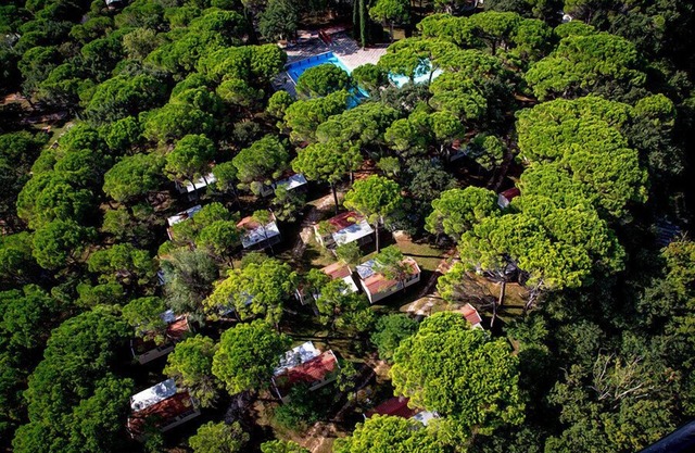 Belvedere Pineta Village Mobilehome Green Holiday for 6 persons