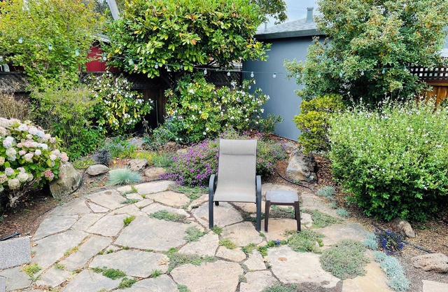 Berkeley/Albany 2 BR Home. Perfect for couples, families, new grandparents!