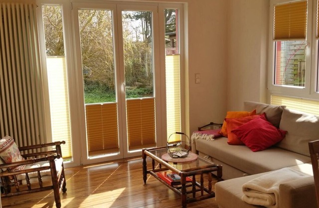 Bird flight in the house by the pond