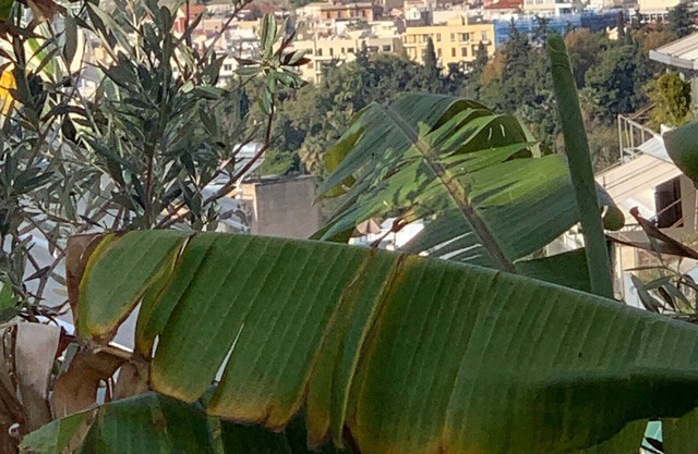 Bird´s-eye View of Athens