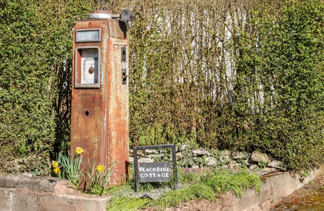 Blackbird Cottage