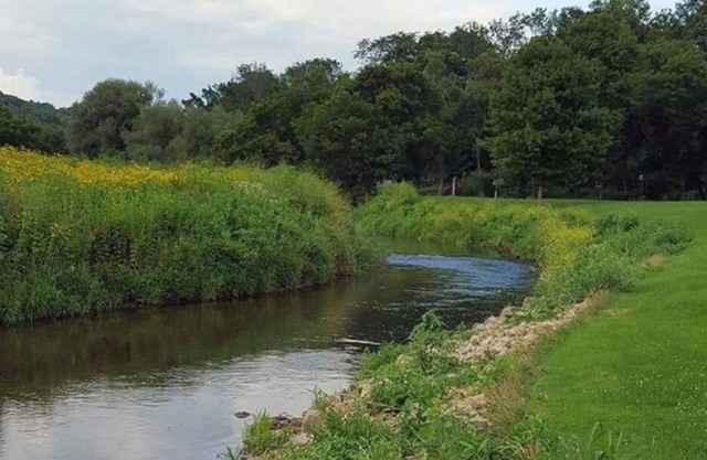 Blakley Hobbit Campground-Tent spot #1