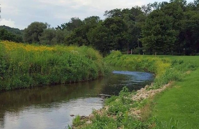 Blakley Hobbit Campground-Tent spot #3