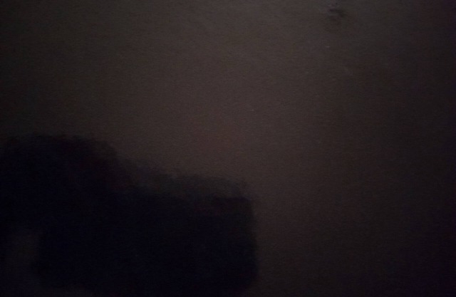 Blank Blank Blank Blank