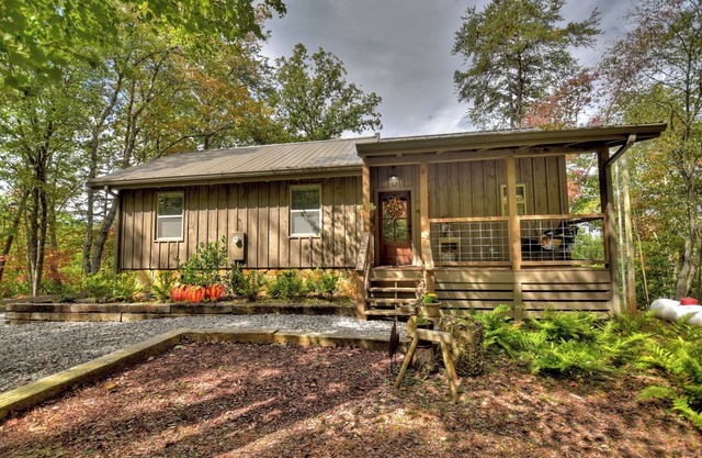 Blueberry Hill | Fire Pit | MTN Views | Grill