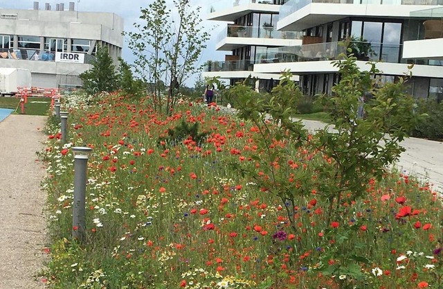 Bo med stil og udsigt til Aarhus lystbådehavn