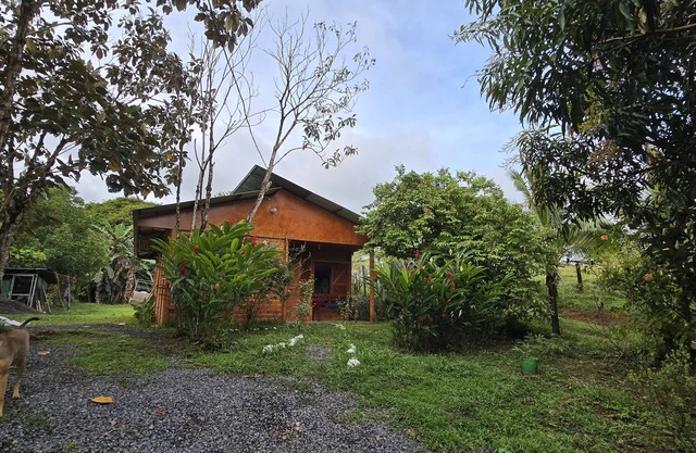 Boca Tapada Rainforest